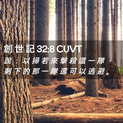 Picture 02 - 創 世 記 32:8 CUVT - 說 ： 以 掃 若 來 擊 殺 這 一 隊 ， - Bible Verse Picture
