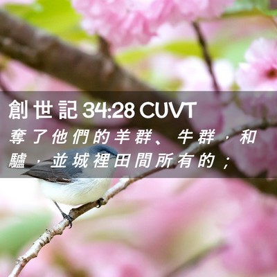 Picture 02 - 創 世 記 34:28 CUVT - 奪 了 他 們 的 羊 群 、 牛 群 ， 和 - Bible Verse Picture