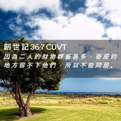 Picture 02 - 創 世 記 36:7 CUVT - 因 為 二 人 的 財 物 群 畜 甚 多 ， - Bible Verse Picture