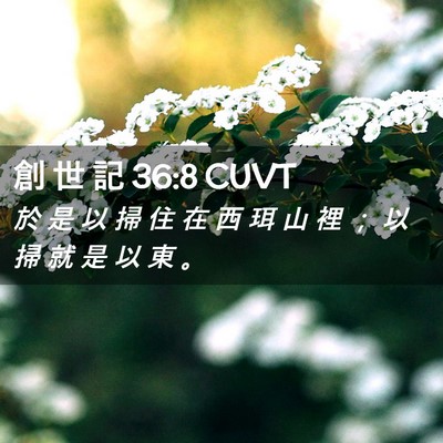 Picture 02 - 創 世 記 36:8 CUVT - 於 是 以 掃 住 在 西 珥 山 裡 ； 以 - Bible Verse Picture