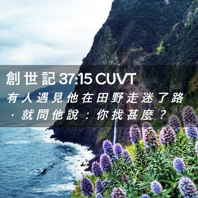Picture 02 - 創 世 記 37:15 CUVT - 有 人 遇 見 他 在 田 野 走 迷 了 路 - Bible Verse Picture