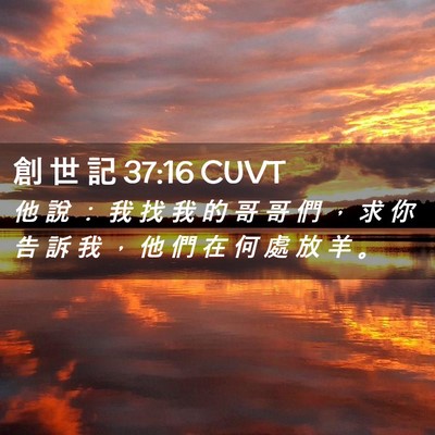 Picture 02 - 創 世 記 37:16 CUVT - 他 說 ： 我 找 我 的 哥 哥 們 ， 求 - Bible Verse Picture