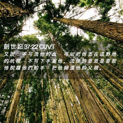 Picture 02 - 創 世 記 37:22 CUVT - 又 說 ： 不 可 流 他 的 血 ， 可 以 - Bible Verse Picture