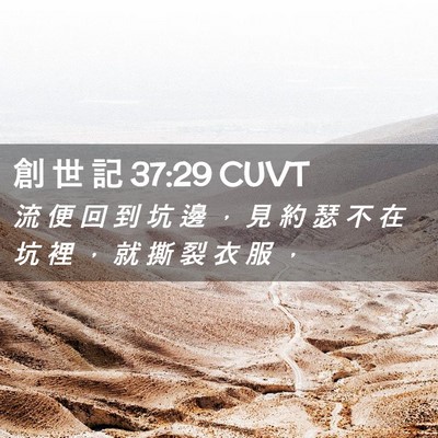 Picture 02 - 創 世 記 37:29 CUVT - 流 便 回 到 坑 邊 ， 見 約 瑟 不 在 - Bible Verse Picture