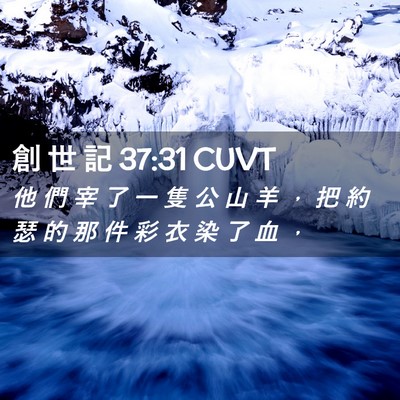 Picture 02 - 創 世 記 37:31 CUVT - 他 們 宰 了 一 隻 公 山 羊 ， 把 約 - Bible Verse Picture