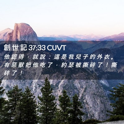 Picture 02 - 創 世 記 37:33 CUVT - 他 認 得 ， 就 說 ： 這 是 我 兒 子 - Bible Verse Picture