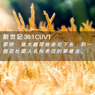Picture 02 - 創 世 記 38:1 CUVT - 那 時 ， 猶 大 離 開 他 弟 兄 下 去 - Bible Verse Picture
