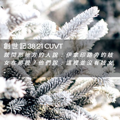 Picture 02 - 創 世 記 38:21 CUVT - 就 問 那 地 方 的 人 說 ： 伊 拿 印 - Bible Verse Picture