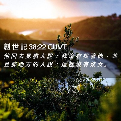 Picture 02 - 創 世 記 38:22 CUVT - 他 回 去 見 猶 大 說 ： 我 沒 有 找 - Bible Verse Picture