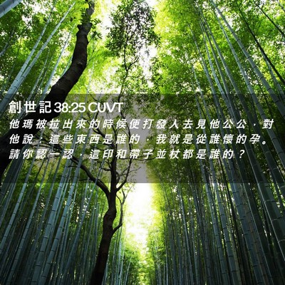 Picture 02 - 創 世 記 38:25 CUVT - 他 瑪 被 拉 出 來 的 時 候 便 打 發 - Bible Verse Picture