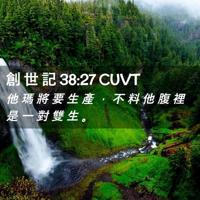 Picture 02 - 創 世 記 38:27 CUVT - 他 瑪 將 要 生 產 ， 不 料 他 腹 裡 - Bible Verse Picture