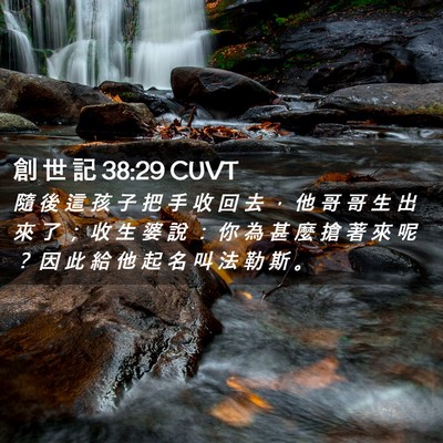 Picture 02 - 創 世 記 38:29 CUVT - 隨 後 這 孩 子 把 手 收 回 去 ， 他 - Bible Verse Picture