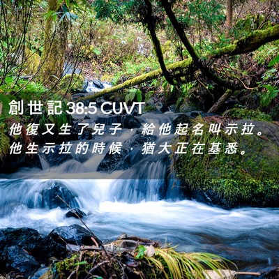 Picture 02 - 創 世 記 38:5 CUVT - 他 復 又 生 了 兒 子 ， 給 他 起 名 - Bible Verse Picture