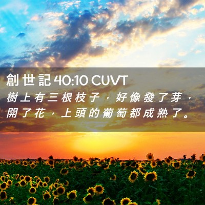 Picture 02 - 創 世 記 40:10 CUVT - 樹 上 有 三 根 枝 子 ， 好 像 發 了 - Bible Verse Picture