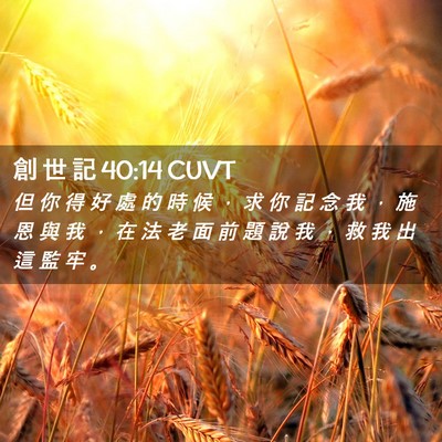 Picture 02 - 創 世 記 40:14 CUVT - 但 你 得 好 處 的 時 候 ， 求 你 記 - Bible Verse Picture
