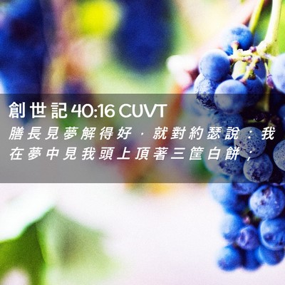 Picture 02 - 創 世 記 40:16 CUVT - 膳 長 見 夢 解 得 好 ， 就 對 約 瑟 - Bible Verse Picture
