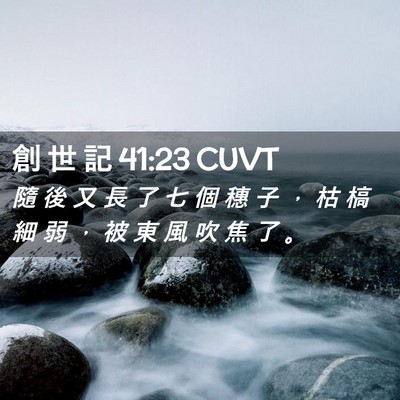Picture 02 - 創 世 記 41:23 CUVT - 隨 後 又 長 了 七 個 穗 子 ， 枯 槁 - Bible Verse Picture