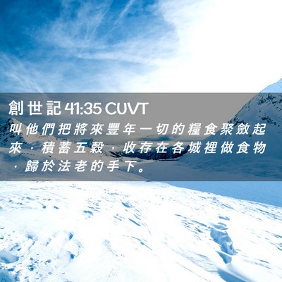 Picture 02 - 創 世 記 41:35 CUVT - 叫 他 們 把 將 來 豐 年 一 切 的 糧 - Bible Verse Picture