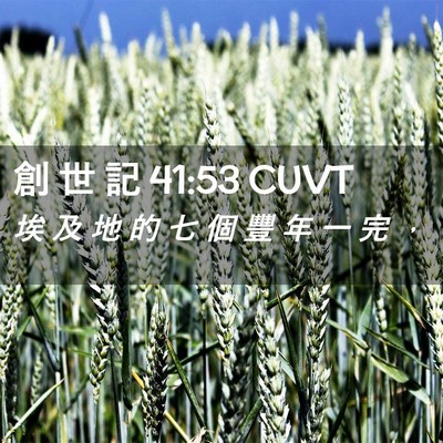 Picture 02 - 創 世 記 41:53 CUVT - 埃 及 地 的 七 個 豐 年 一 完 - Bible Verse Picture