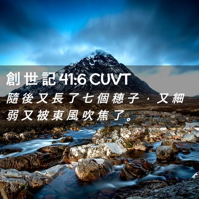 Picture 02 - 創 世 記 41:6 CUVT - 隨 後 又 長 了 七 個 穗 子 ， 又 細 - Bible Verse Picture