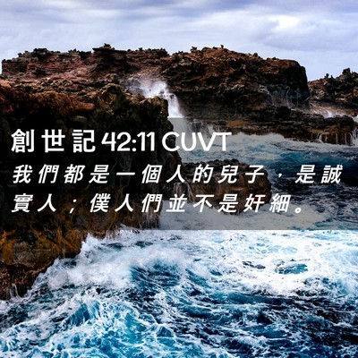 Picture 02 - 創 世 記 42:11 CUVT - 我 們 都 是 一 個 人 的 兒 子 ， 是 - Bible Verse Picture