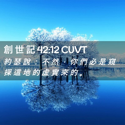 Picture 02 - 創 世 記 42:12 CUVT - 約 瑟 說 ： 不 然 ， 你 們 必 是 窺 - Bible Verse Picture