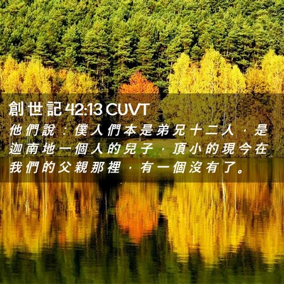 Picture 02 - 創 世 記 42:13 CUVT - 他 們 說 ： 僕 人 們 本 是 弟 兄 十 - Bible Verse Picture