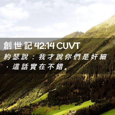 Picture 02 - 創 世 記 42:14 CUVT - 約 瑟 說 ： 我 才 說 你 們 是 奸 細 - Bible Verse Picture