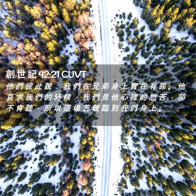 Picture 02 - 創 世 記 42:21 CUVT - 他 們 彼 此 說 ： 我 們 在 兄 弟 身 - Bible Verse Picture