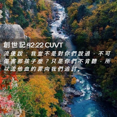 Picture 02 - 創 世 記 42:22 CUVT - 流 便 說 ： 我 豈 不 是 對 你 們 說 - Bible Verse Picture