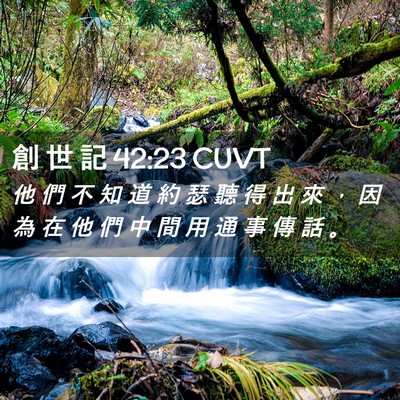 Picture 02 - 創 世 記 42:23 CUVT - 他 們 不 知 道 約 瑟 聽 得 出 來 ， - Bible Verse Picture