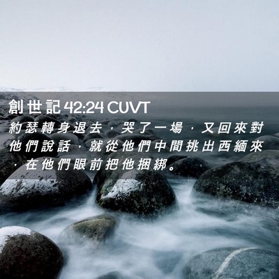 Picture 02 - 創 世 記 42:24 CUVT - 約 瑟 轉 身 退 去 ， 哭 了 一 場 ， - Bible Verse Picture
