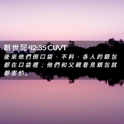 Picture 02 - 創 世 記 42:35 CUVT - 後 來 他 們 倒 口 袋 ， 不 料 ， 各 - Bible Verse Picture