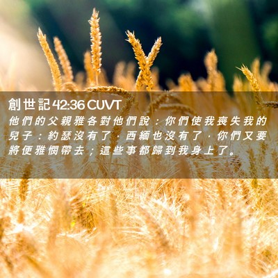 Picture 02 - 創 世 記 42:36 CUVT - 他 們 的 父 親 雅 各 對 他 們 說 ： - Bible Verse Picture