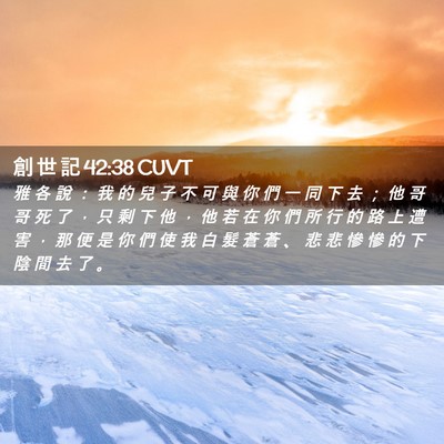 Picture 02 - 創 世 記 42:38 CUVT - 雅 各 說 ： 我 的 兒 子 不 可 與 你 - Bible Verse Picture