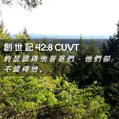 Picture 02 - 創 世 記 42:8 CUVT - 約 瑟 認 得 他 哥 哥 們 ， 他 們 卻 - Bible Verse Picture