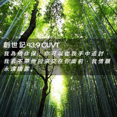 Picture 02 - 創 世 記 43:9 CUVT - 我 為 他 作 保 ； 你 可 以 從 我 手 - Bible Verse Picture