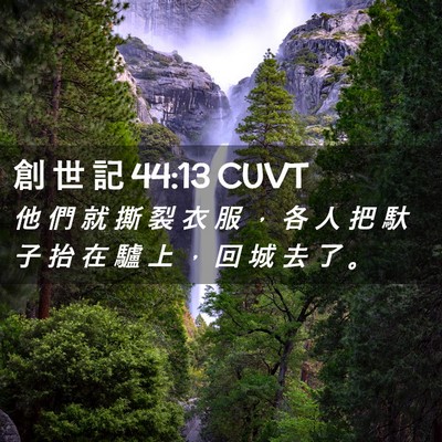 Picture 02 - 創 世 記 44:13 CUVT - 他 們 就 撕 裂 衣 服 ， 各 人 把 馱 - Bible Verse Picture