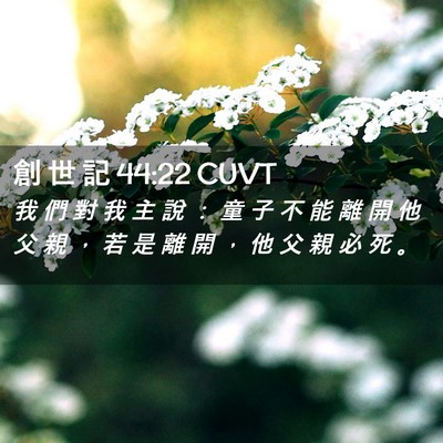 Picture 02 - 創 世 記 44:22 CUVT - 我 們 對 我 主 說 ： 童 子 不 能 離 - Bible Verse Picture