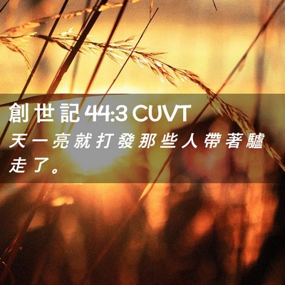 Picture 02 - 創 世 記 44:3 CUVT - 天 一 亮 就 打 發 那 些 人 帶 著 驢 - Bible Verse Picture