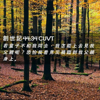 Picture 02 - 創 世 記 44:34 CUVT - 若 童 子 不 和 我 同 去 ， 我 怎 能 - Bible Verse Picture