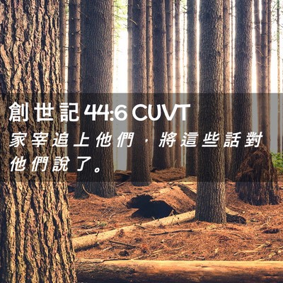 Picture 02 - 創 世 記 44:6 CUVT - 家 宰 追 上 他 們 ， 將 這 些 話 對 - Bible Verse Picture