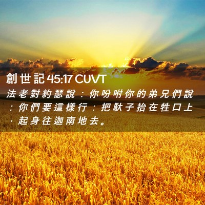 Picture 02 - 創 世 記 45:17 CUVT - 法 老 對 約 瑟 說 ： 你 吩 咐 你 的 - Bible Verse Picture