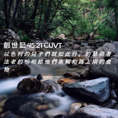 Picture 02 - 創 世 記 45:21 CUVT - 以 色 列 的 兒 子 們 就 如 此 行 。 - Bible Verse Picture