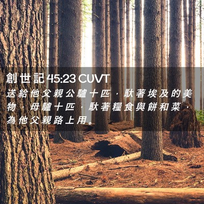 Picture 02 - 創 世 記 45:23 CUVT - 送 給 他 父 親 公 驢 十 匹 ， 馱 著 - Bible Verse Picture