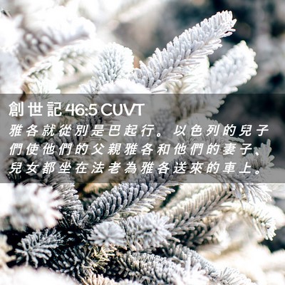 Picture 02 - 創 世 記 46:5 CUVT - 雅 各 就 從 別 是 巴 起 行 。 以 色 - Bible Verse Picture