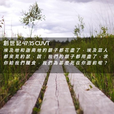 Picture 02 - 創 世 記 47:15 CUVT - 埃 及 地 和 迦 南 地 的 銀 子 都 花 - Bible Verse Picture