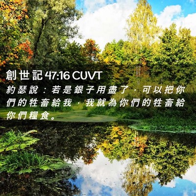 Picture 02 - 創 世 記 47:16 CUVT - 約 瑟 說 ： 若 是 銀 子 用 盡 了 ， - Bible Verse Picture