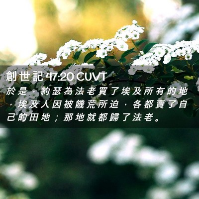 Picture 02 - 創 世 記 47:20 CUVT - 於 是 ， 約 瑟 為 法 老 買 了 埃 及 - Bible Verse Picture
