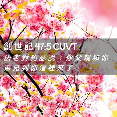 Picture 02 - 創 世 記 47:5 CUVT - 法 老 對 約 瑟 說 ： 你 父 親 和 你 - Bible Verse Picture